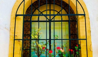 Beautiful window in Condesa, Mexico City