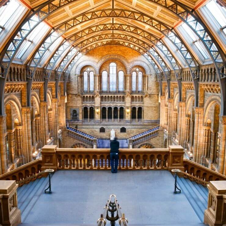 Natural History Museum in London is a top museum to see during a sightseeing day in London.