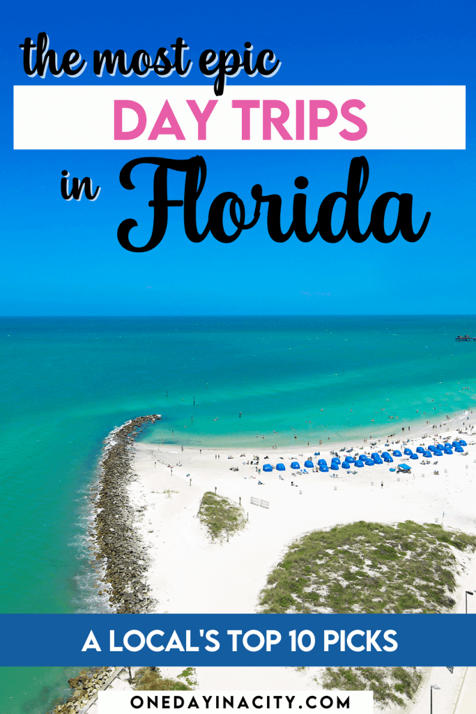 A local shares her top ten picks for the best day trips in Florida. Read on for the ultimate guide on where to go and what to see on these Florida day trips located around the state.