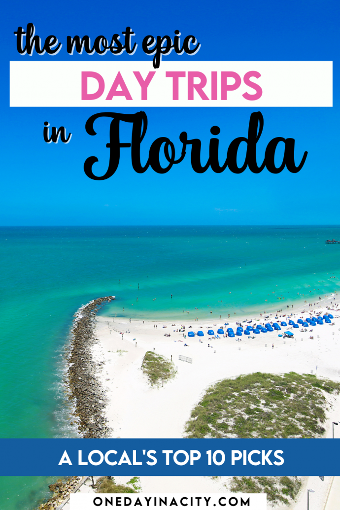 Best Florida Day Trips A Local's Guide to the Top 10 Day Trips in Florida