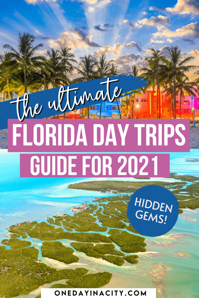 A local shares her top ten picks for the best day trips in Florida. Read on for the ultimate guide on where to go and what to see on these Florida day trips located around the state.