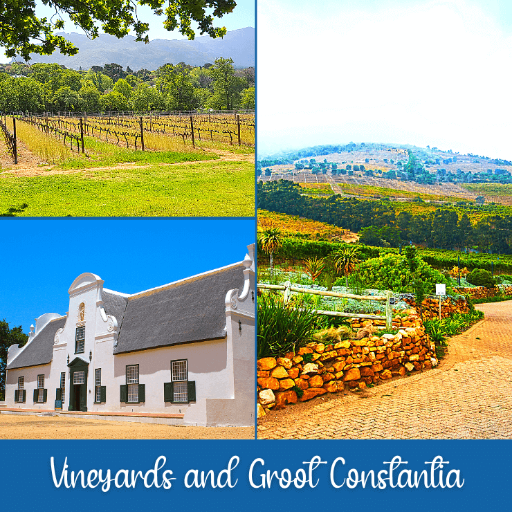 If you love wine and historic buildings don't miss seeing the vineyards and wineries in the Constantia neighborhood of Cape Town, especial the historic Groot Constantia.