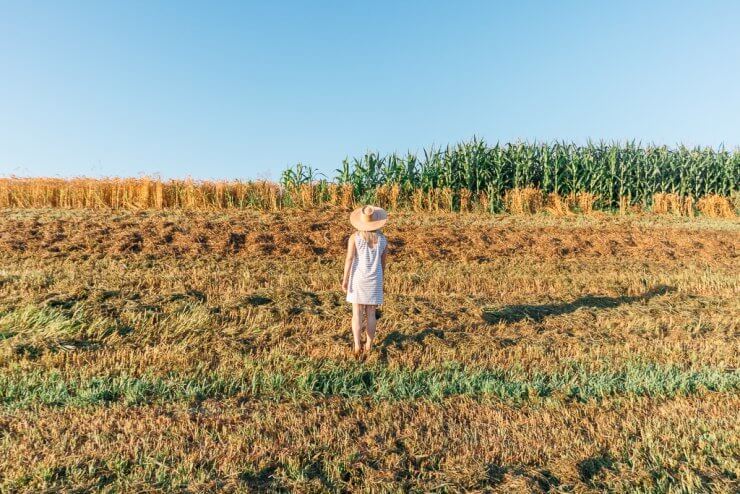 Fields near Omaha, Nebraska