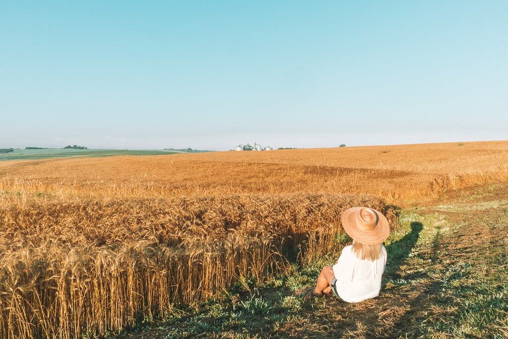 One Day in Omaha Itinerary: Best Things to Do in Omaha By a Local