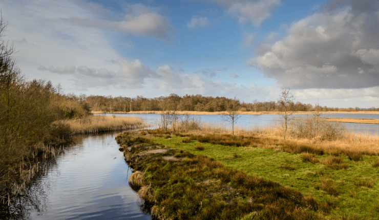 Water and grassland in National Park Weeribben-Wieden near Giethoorn in the Netherlands.