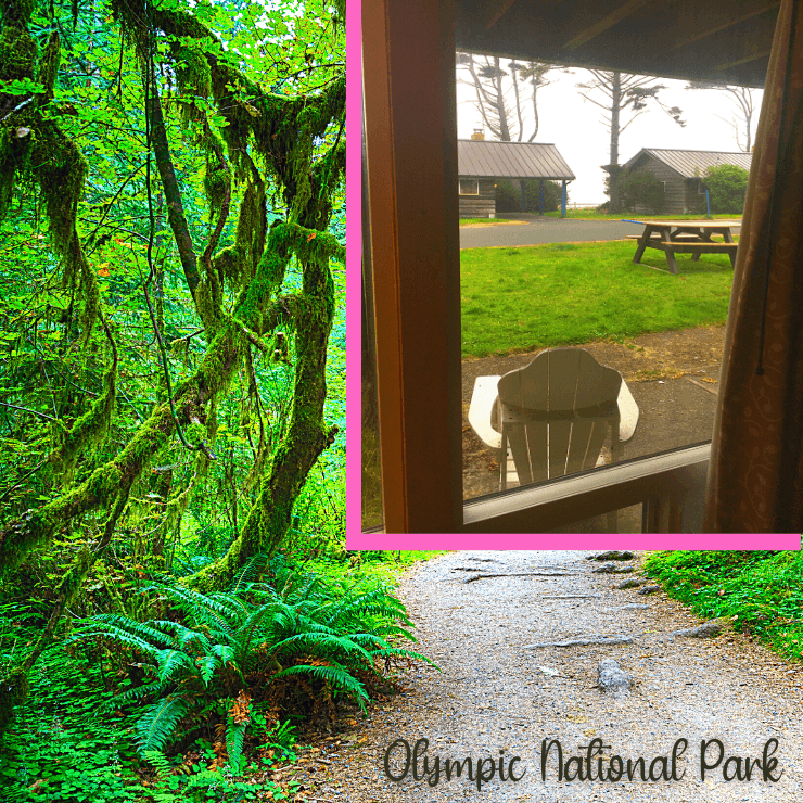 Kalaloch Lodge and Hoh Rain Forest in Olympic National Park is a great girls weekend in the Pacific Northwest.