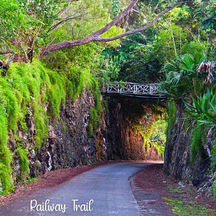 Railway Trail in Bermuda, one of the best things to do there to get out into nature. 