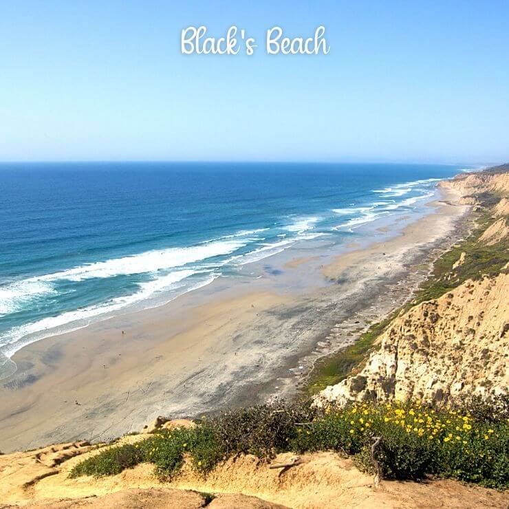 Black's Beach is a hidden gem for surfers and wave watchers in San Diego