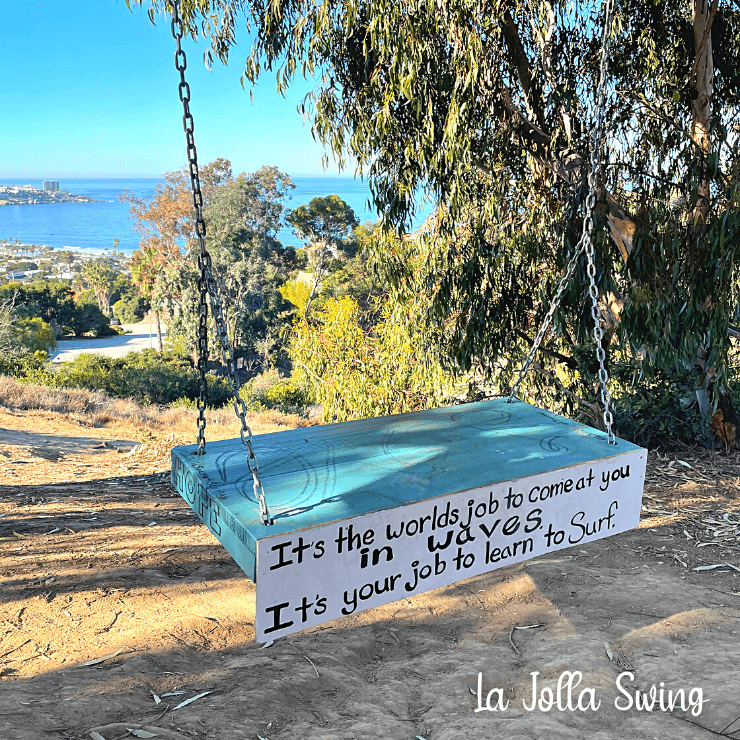 Secret Swing in La Jolla with view of the ocean.