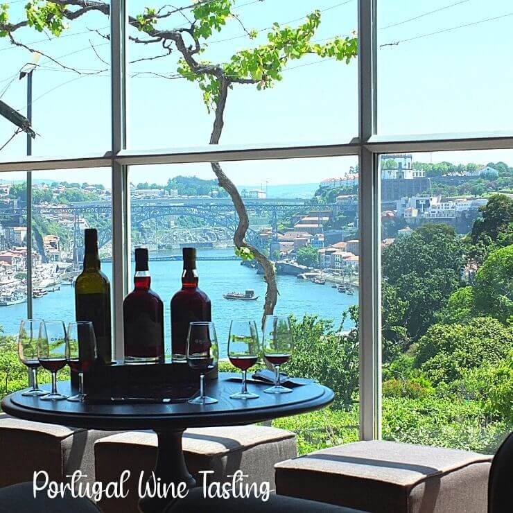 Wine Tasting in Porto, Portugal