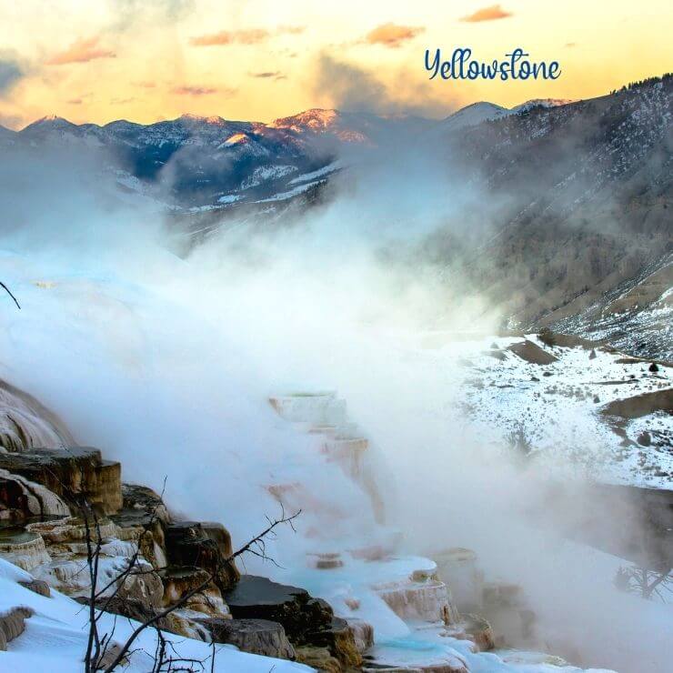 Yellowstone National Park is a magical place to visit in winter. 