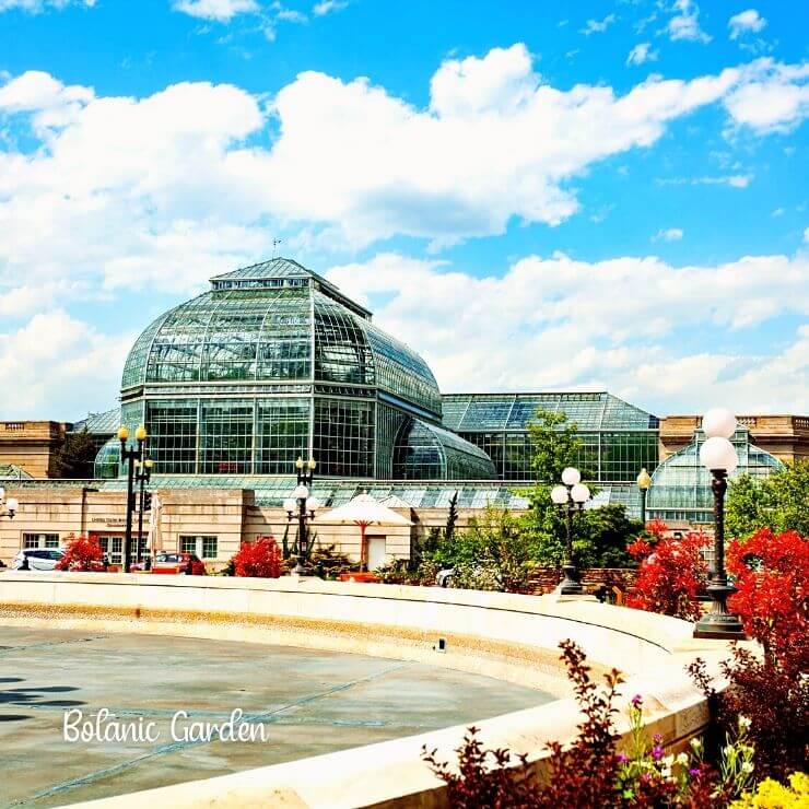 Washington D.C. is home to gardens and art. 