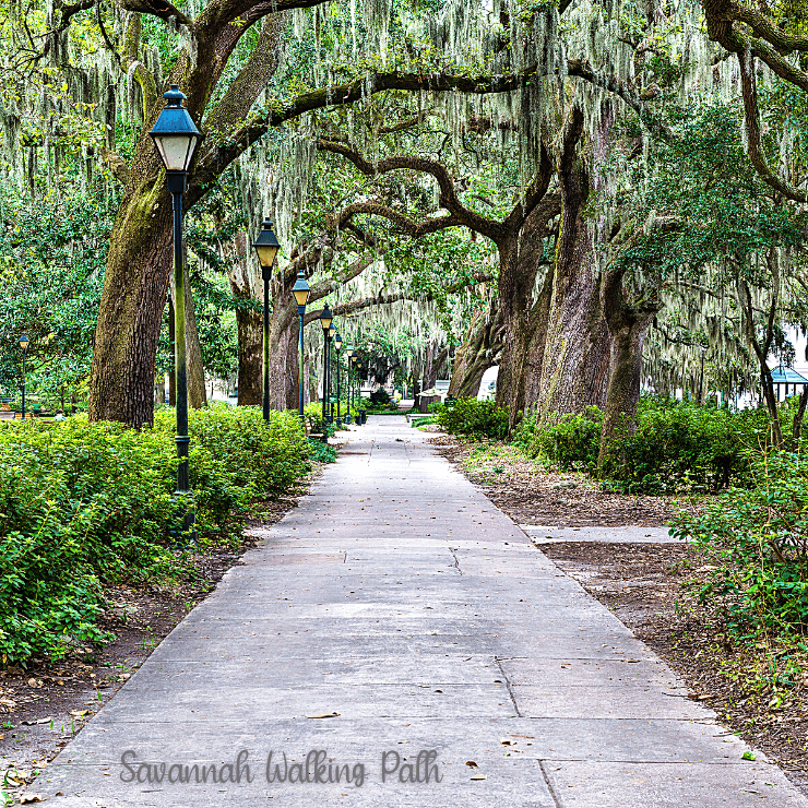 Take a walk along the riverwalk when you spend a fun family day in Savannah, Georgia. 