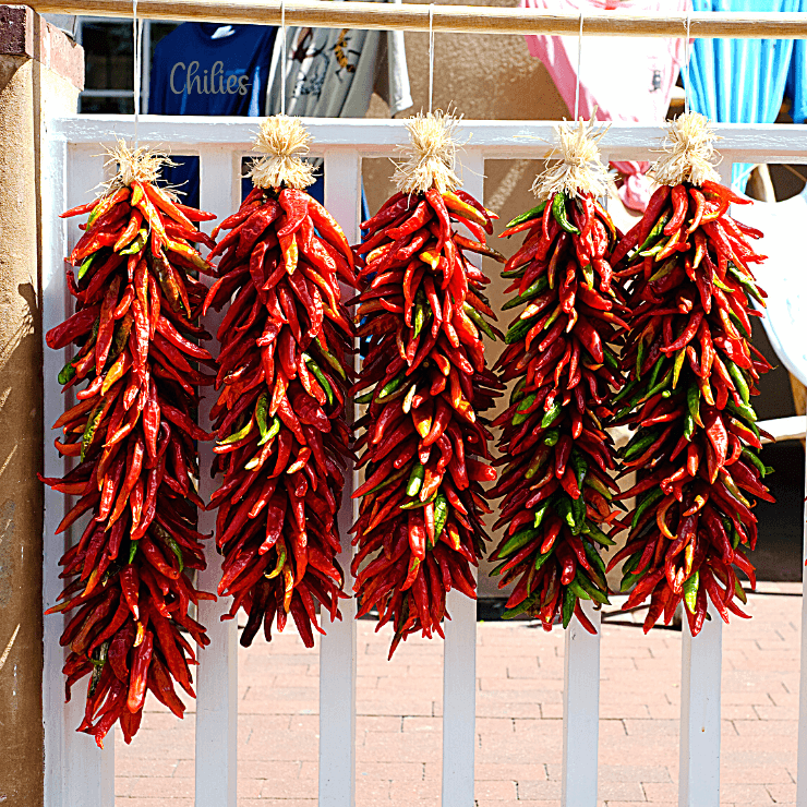 Chiles hanging on the side of a street in Santa Fe, NM. The food is amazing and will be so memorable when you visit Santa Fe. 