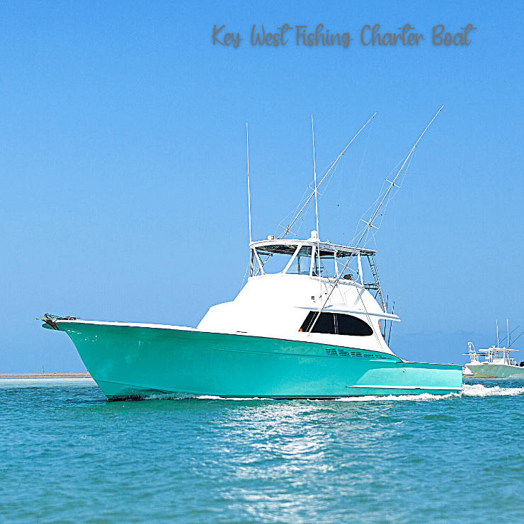 Spend some time fishing when you visit Key West. 
