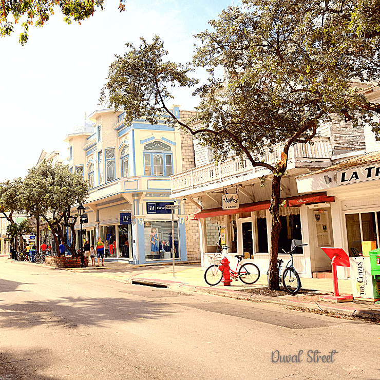 Enjoy shopping on Duval Street when you take in the perfect day at Key West.