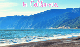 Best beaches in California from South to North