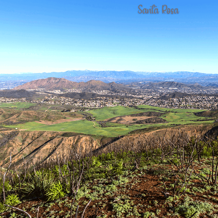 Have a relaxing day trip from San Francisco and head to Santa Rosa.