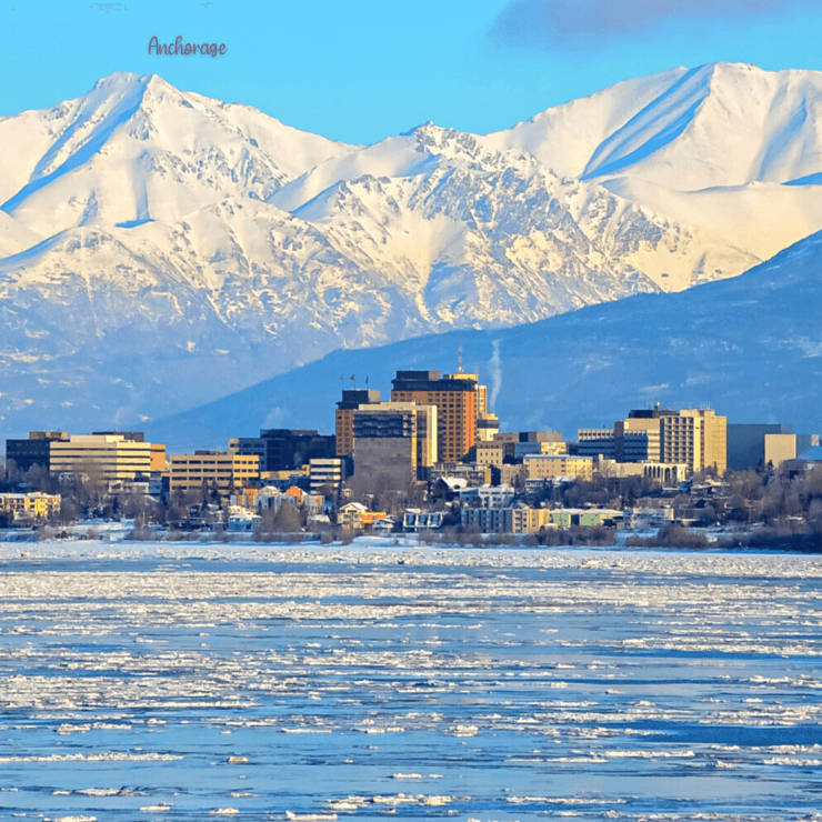 Enjoy the nightlife and some craft beer when you visit Anchorage during your Alaska cruise. 