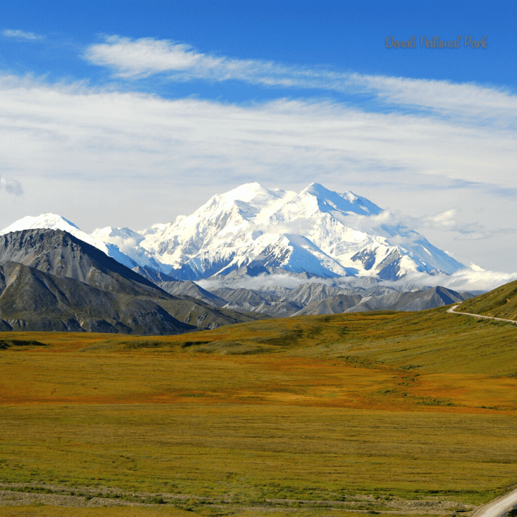 Be sure to enjoy Denali National Park when you take an Alaska cruise and stop over in Anchorage. 