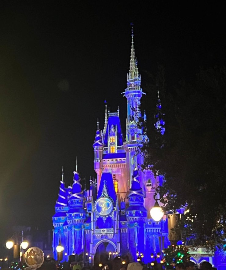 Castle in Magic Kingdom, Disney World Florida