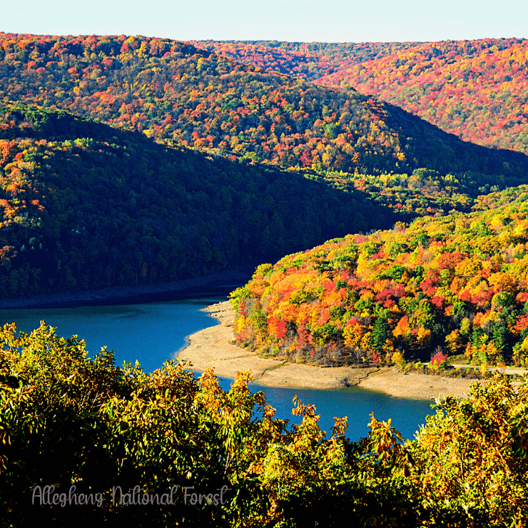 If outdoors adventures are calling you, consider a girls trip to Pennsylvania and explore the Allegheny National Forest.