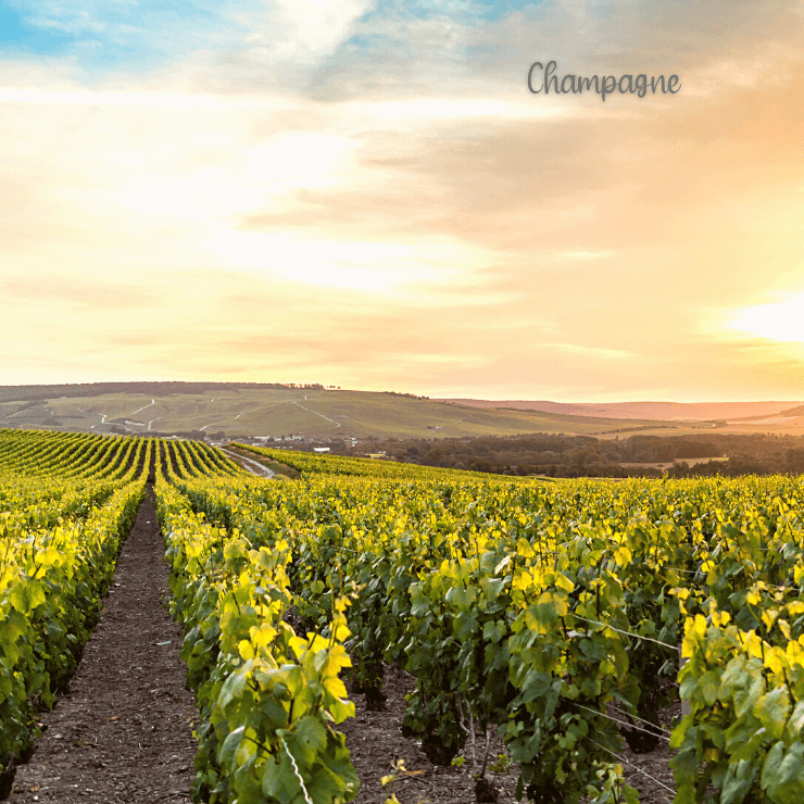 Spend a few days in Champagne on your next girls trip to Europe and enjoy the sparkling wine famous to this area. 