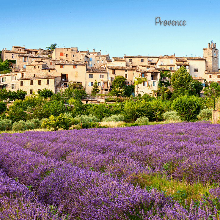 Enjoy the beautiful rural side of Europe and see the stunning lavender fields in Provence on your next girls trip. 