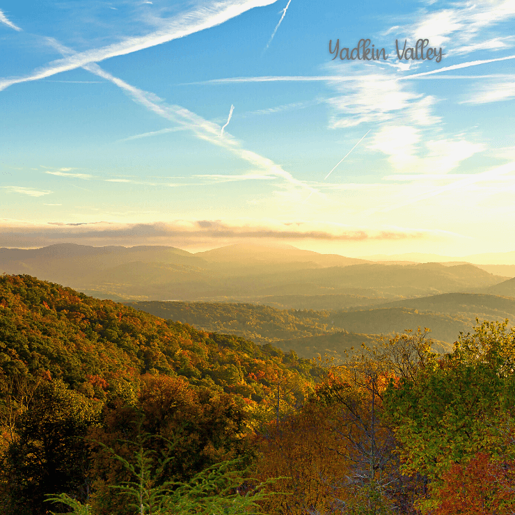 Experience the serene beauty of the tree-filled Yadkin Valley on your girls trip to North Carolina.